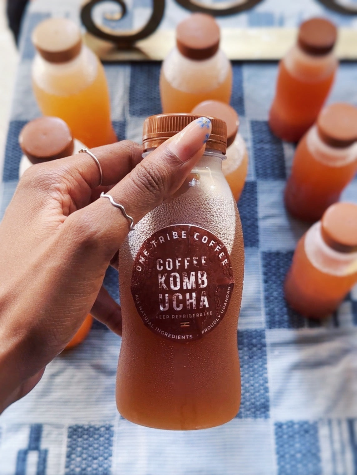 Coffee Kombucha